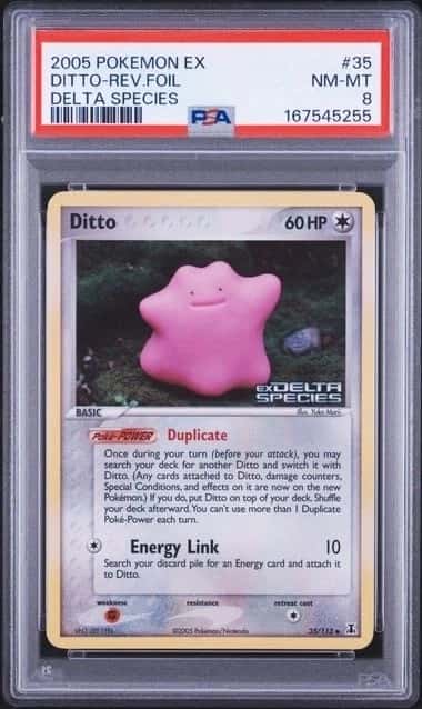 Ditto