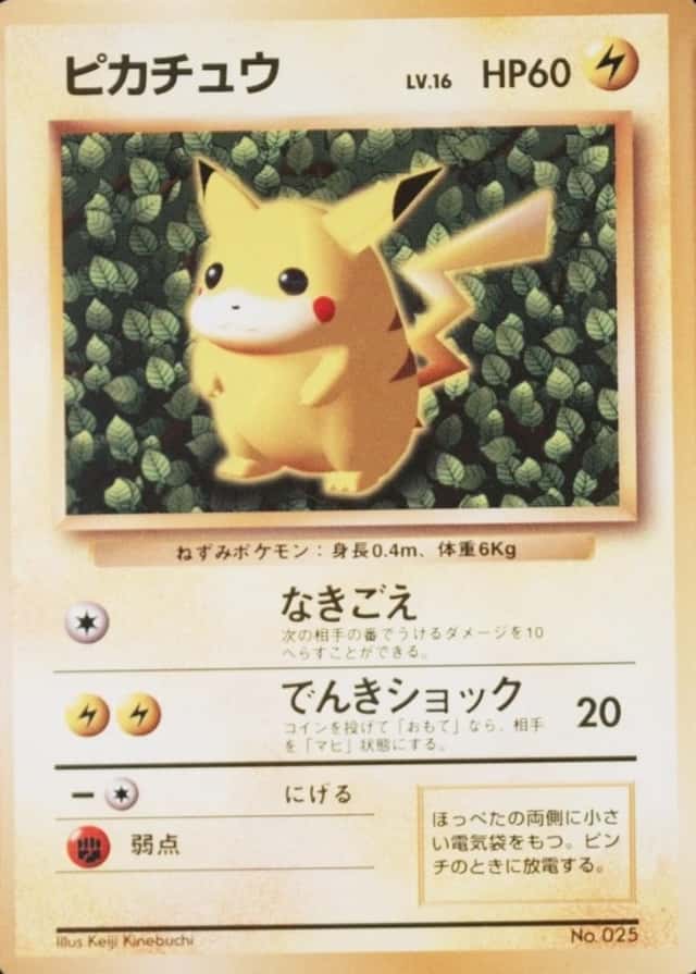Non-Holo · Non-Glossy · Easily How Play To Understand