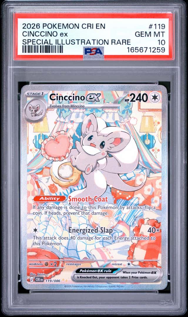 CINCCINO ex