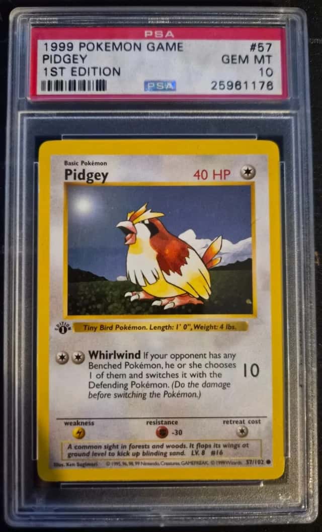Pidgey