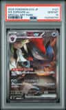 N'S Zoroark Ex