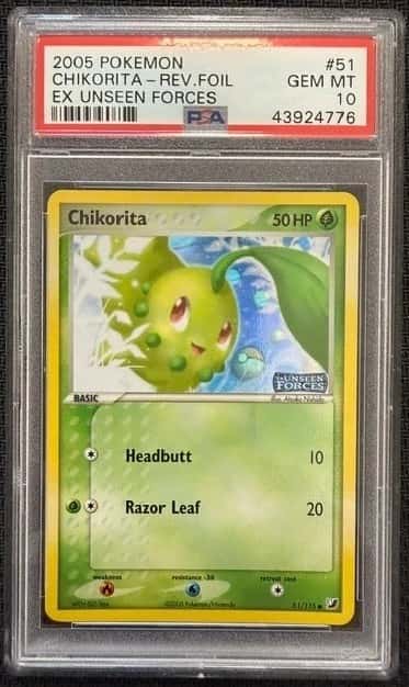 Chikorita