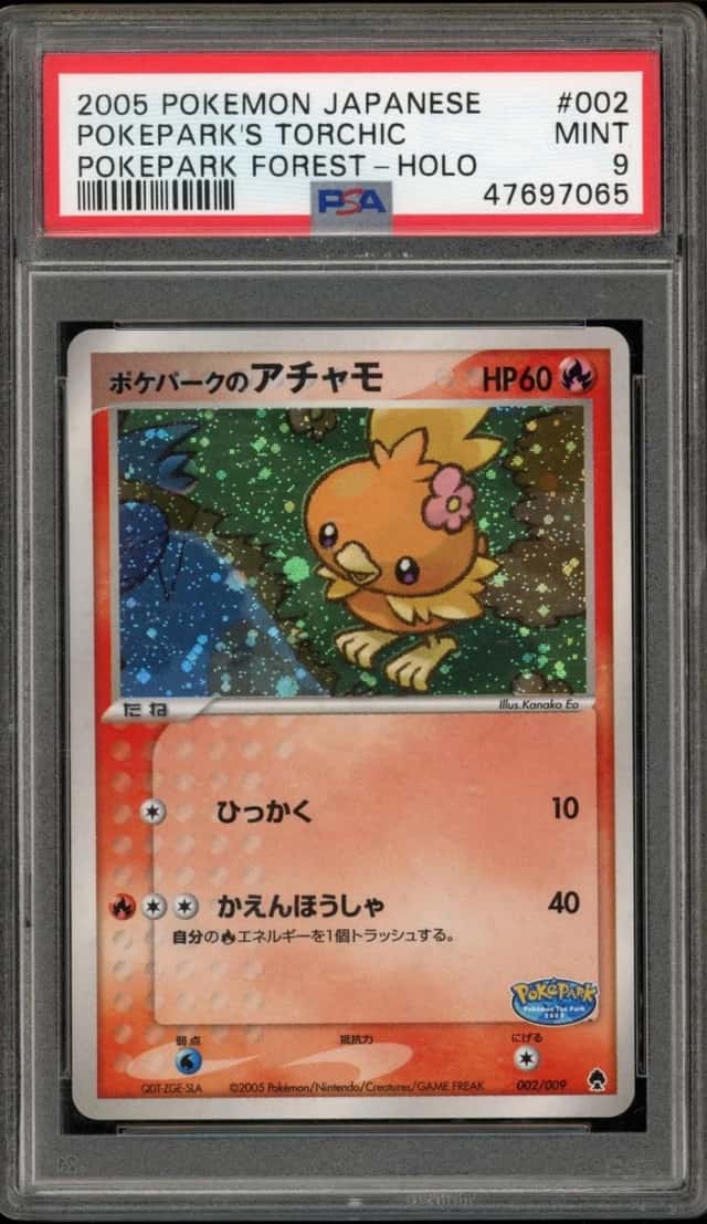 Pokepark's Torchic