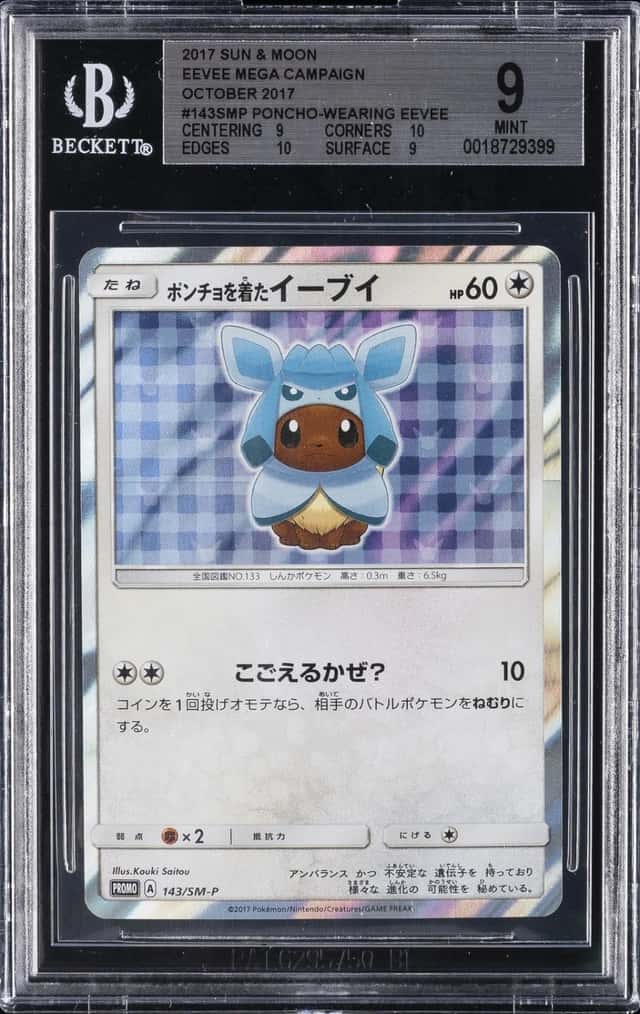 Poncho-Wearing Eevee