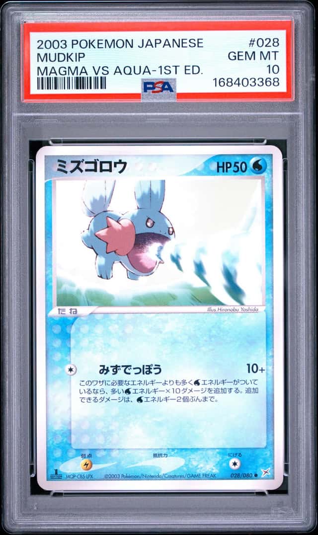 Mudkip