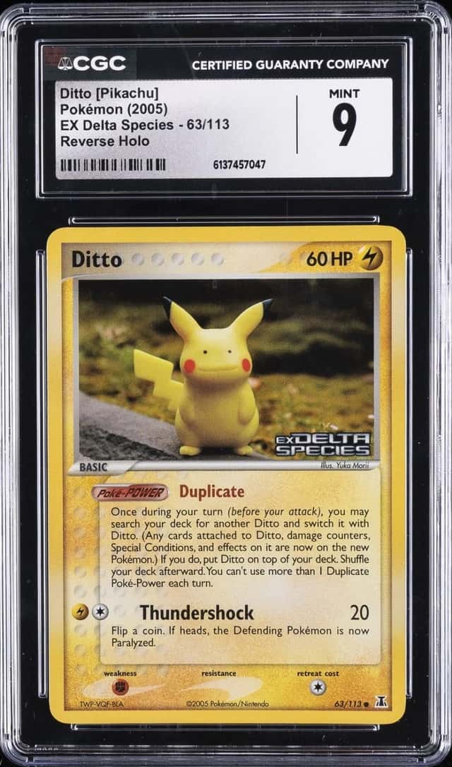 Ditto [Pikachu]