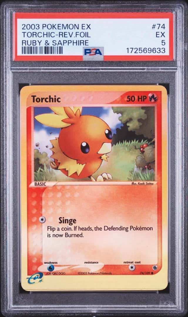 Torchic