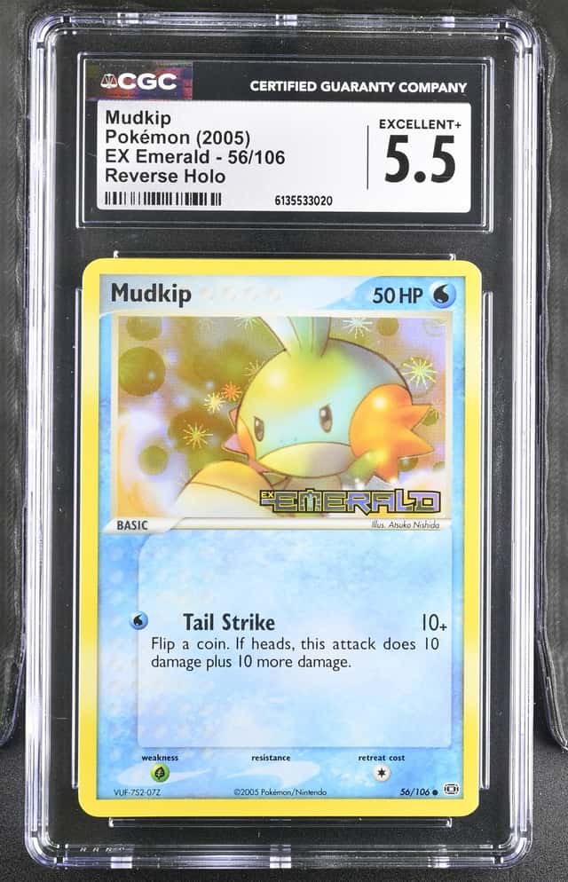 Mudkip