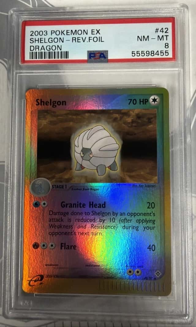 Shelon Dragon