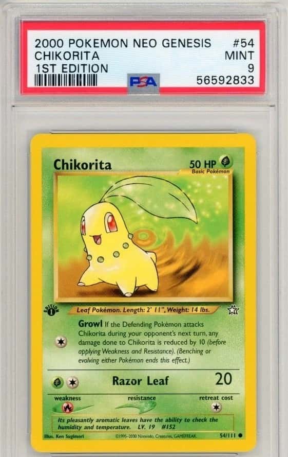 Chikorita