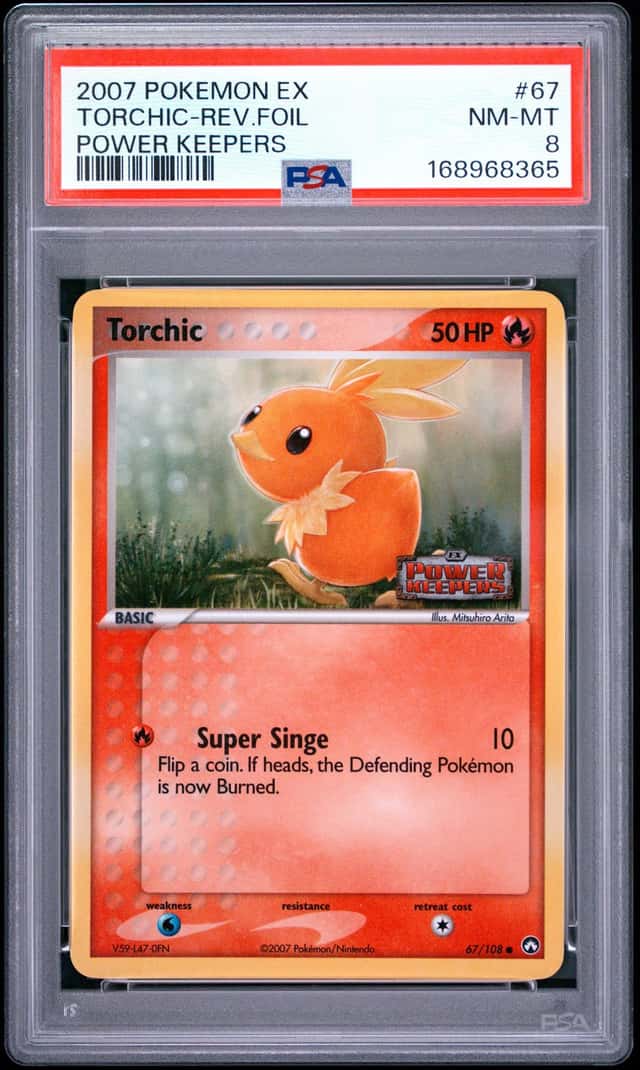 Torchic