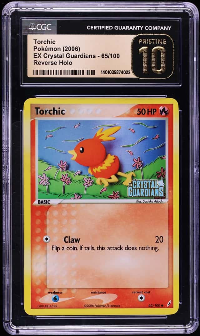 Torchic