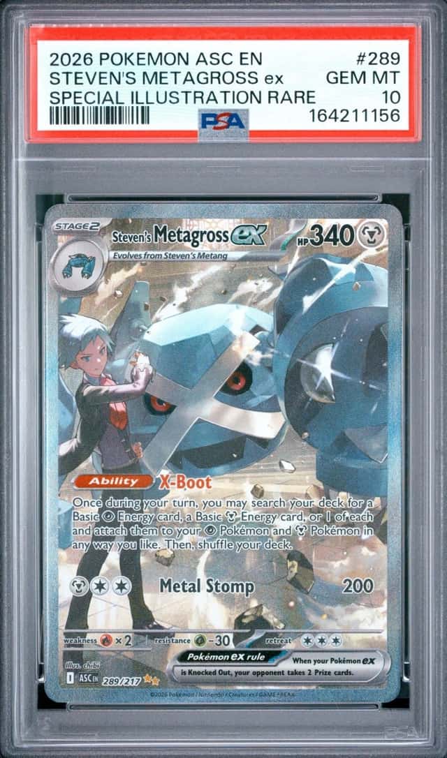STEVEN'S METAGROSS ex