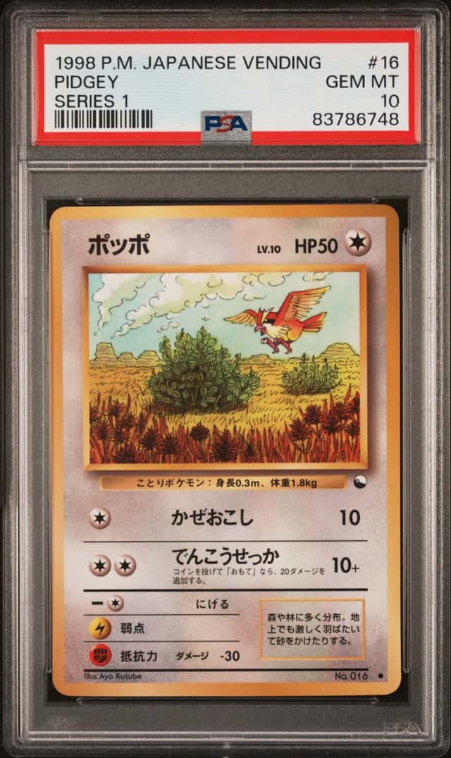 Pidgey