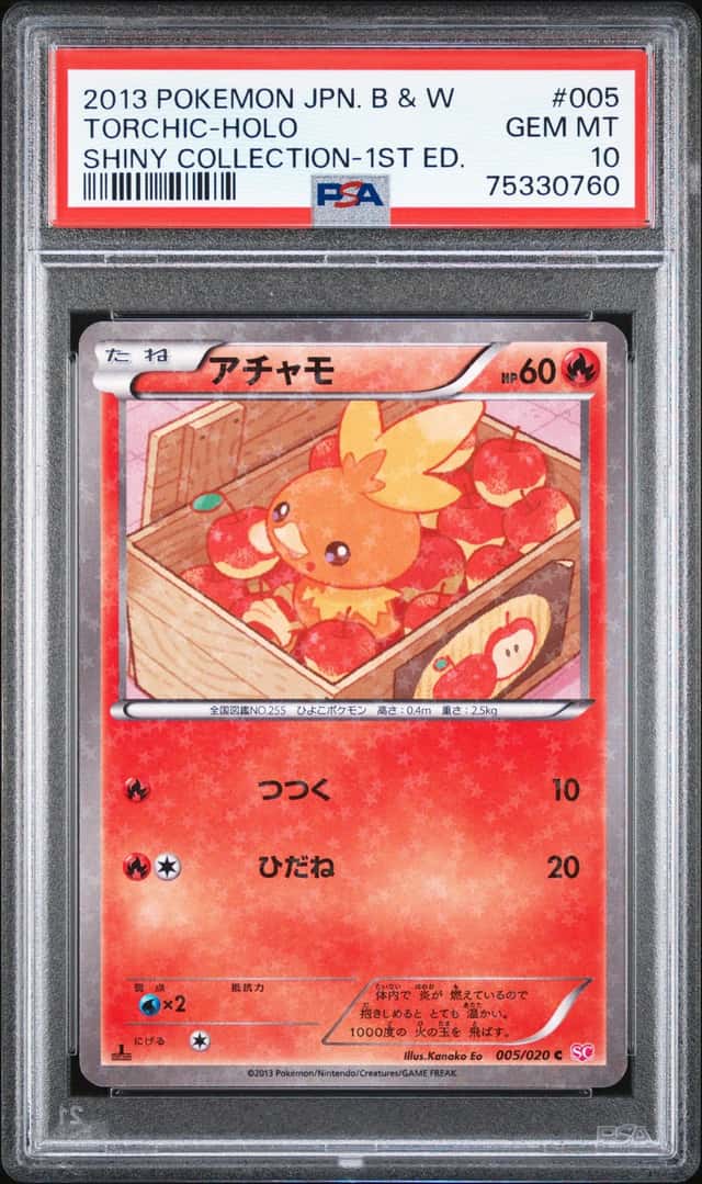 Torchic