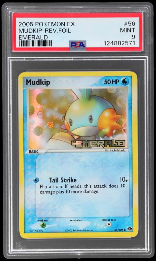 Mudkip