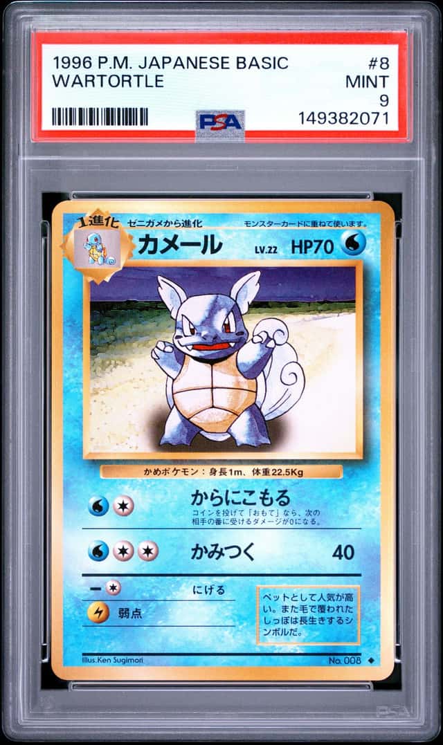 Wartortle