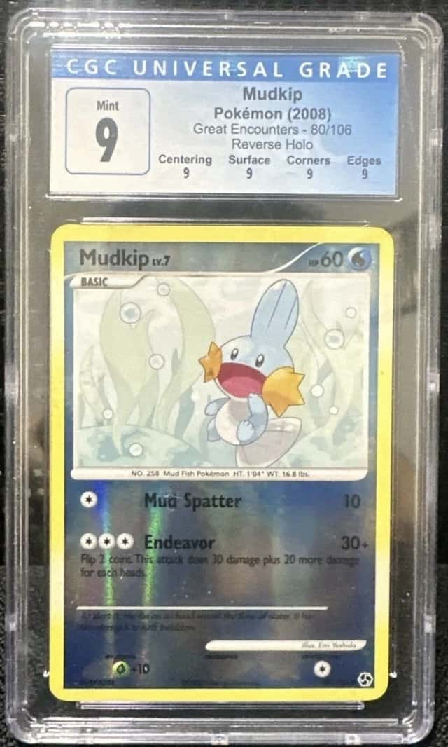 Mudkip