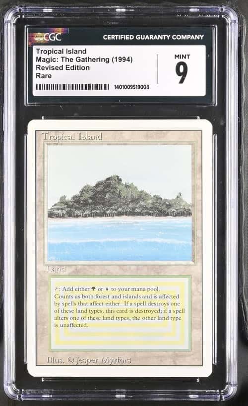 Tropical Island