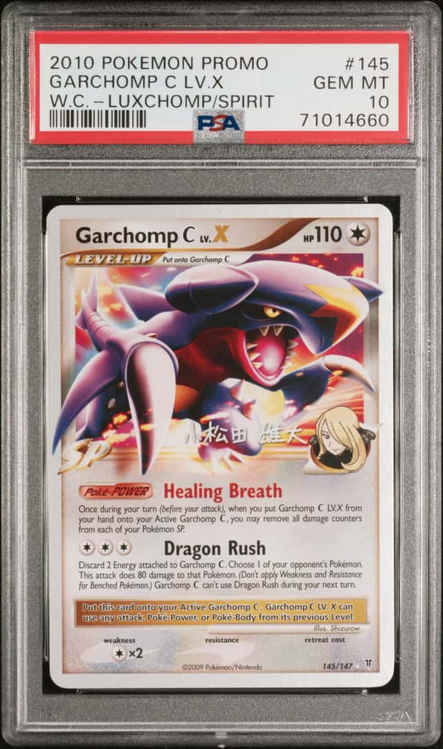 GARCHOMP C LV.X
