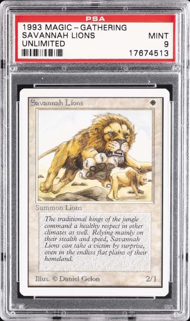 Savannah Lions