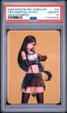 Tifa, Martial Artist