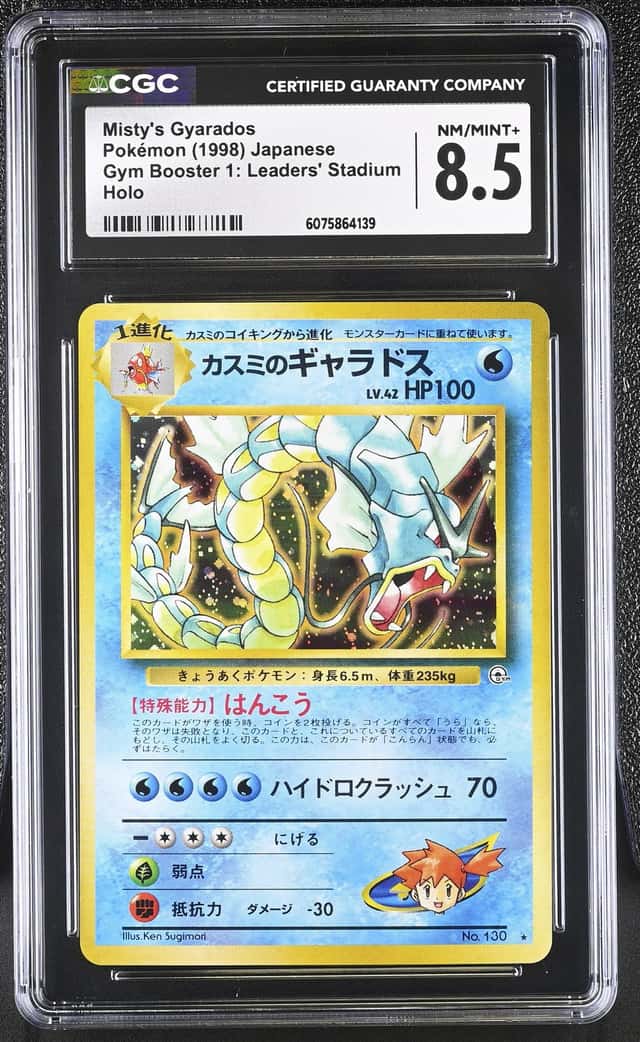 Misty's Gyarados