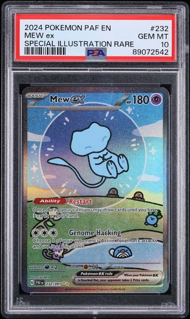 MEW ex
