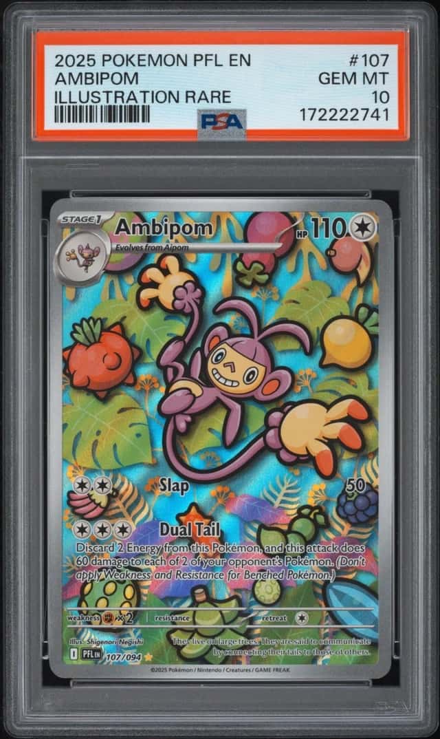 Ambipom