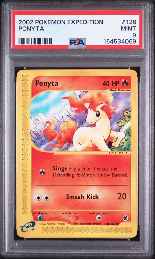 Ponyta