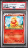 Torchic