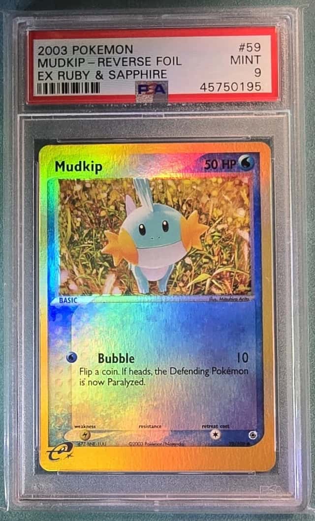 Mudkip
