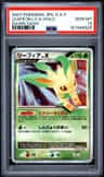 Leafeon Lv X