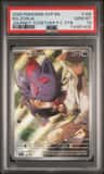 N'S Zorua