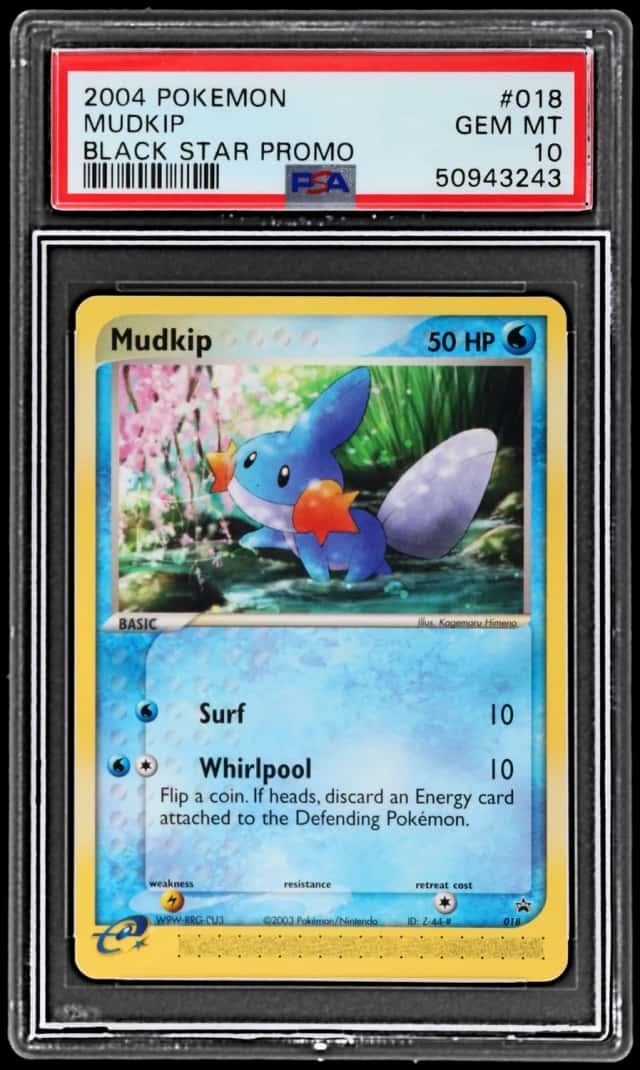 Mudkip