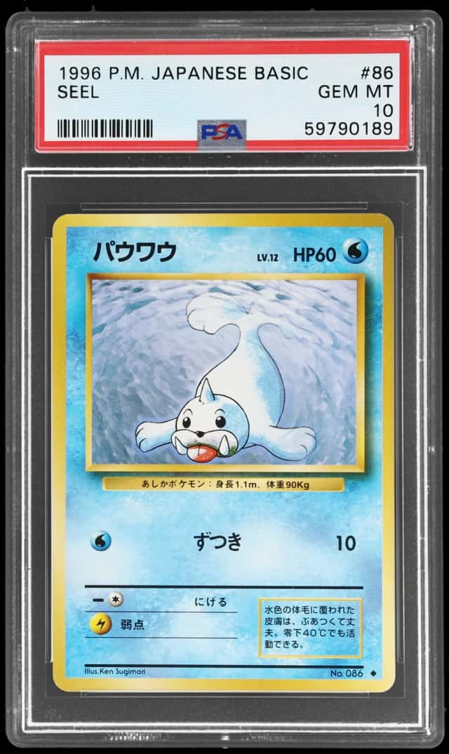Seel