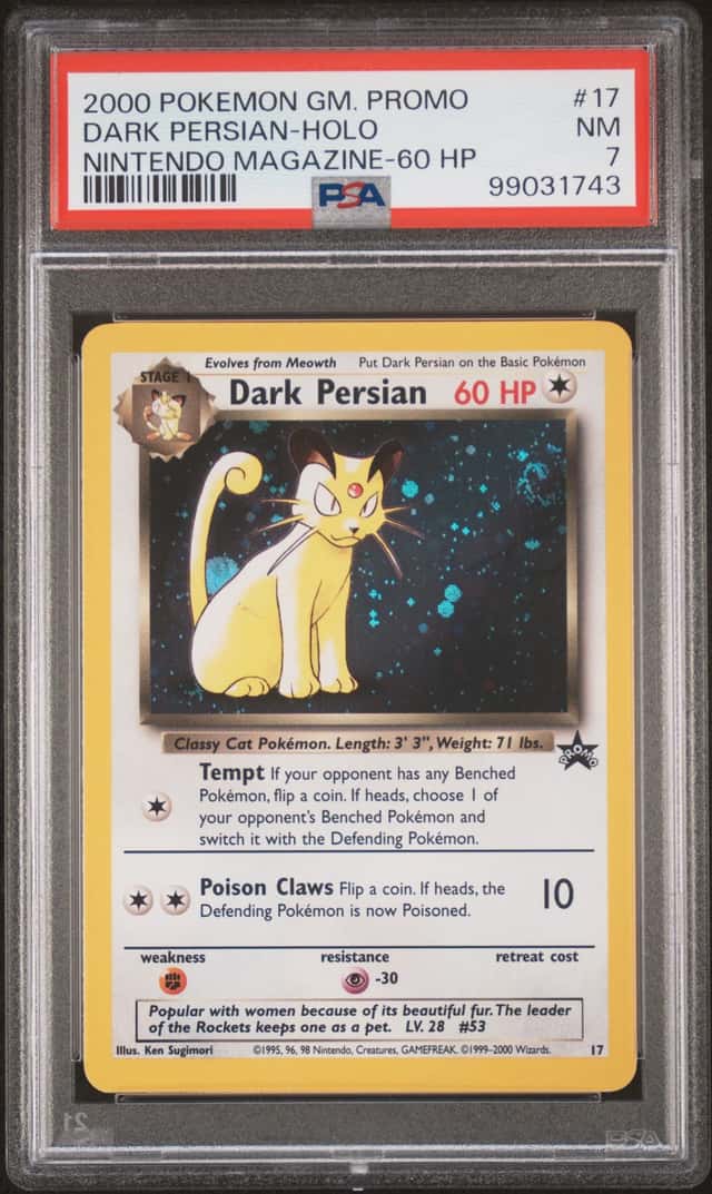 Dark Persian