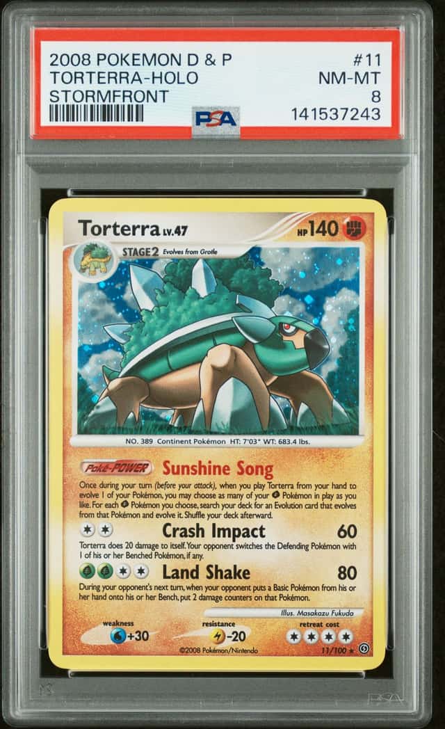 Torterra