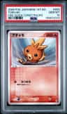Torchic