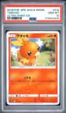 Torchic
