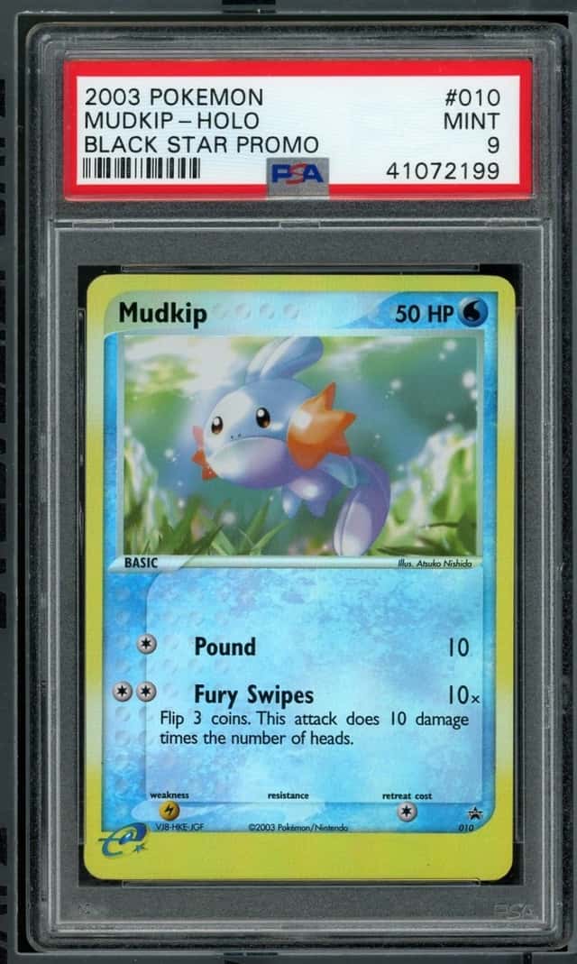 Mudkip