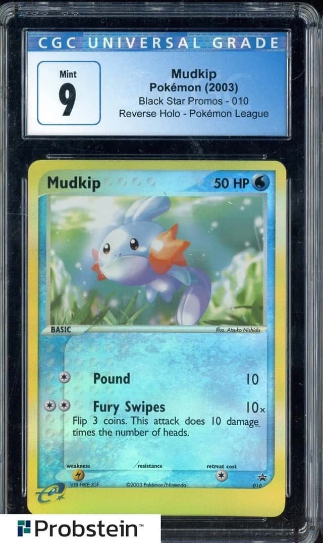 Mudkip