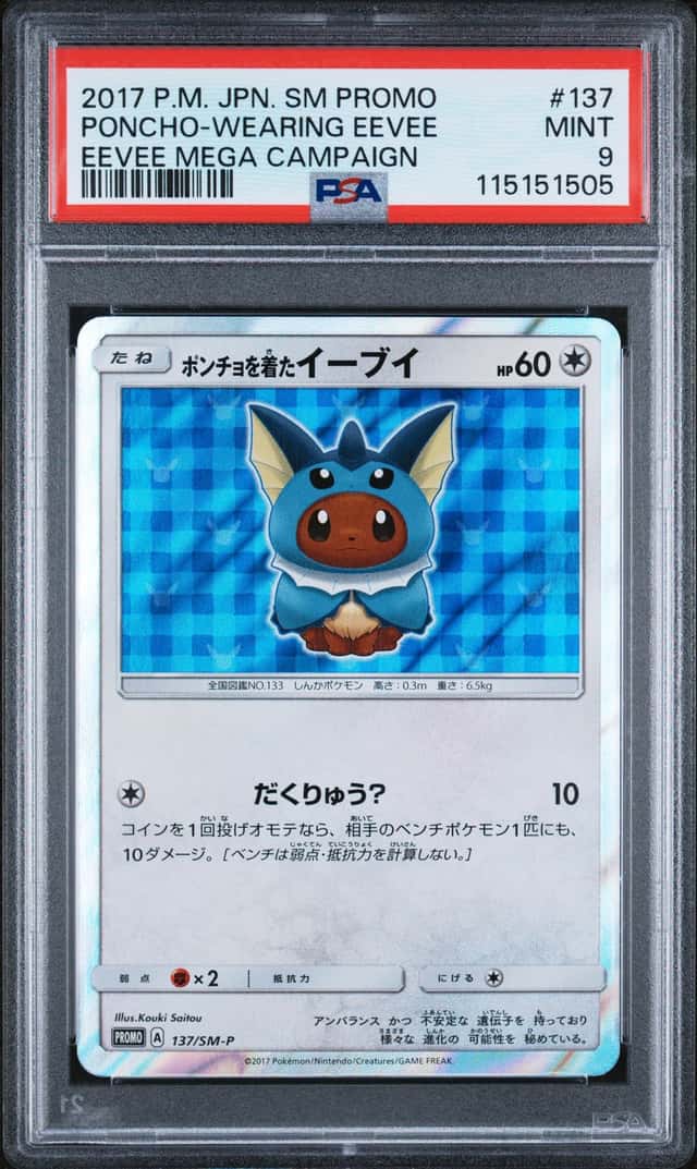 Poncho-wearing Eevee