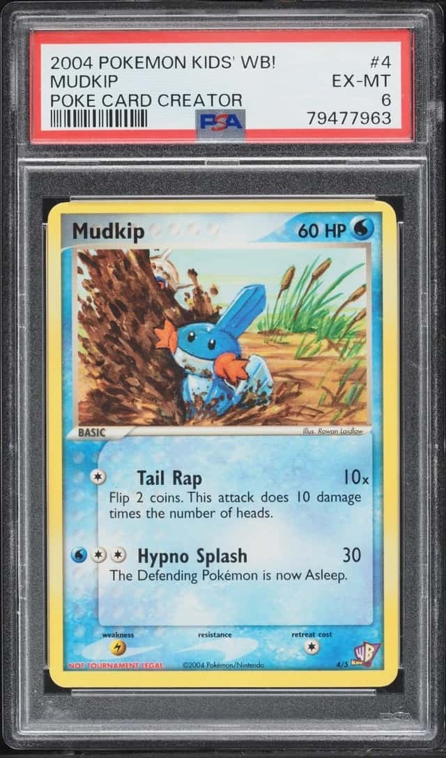 Mudkip