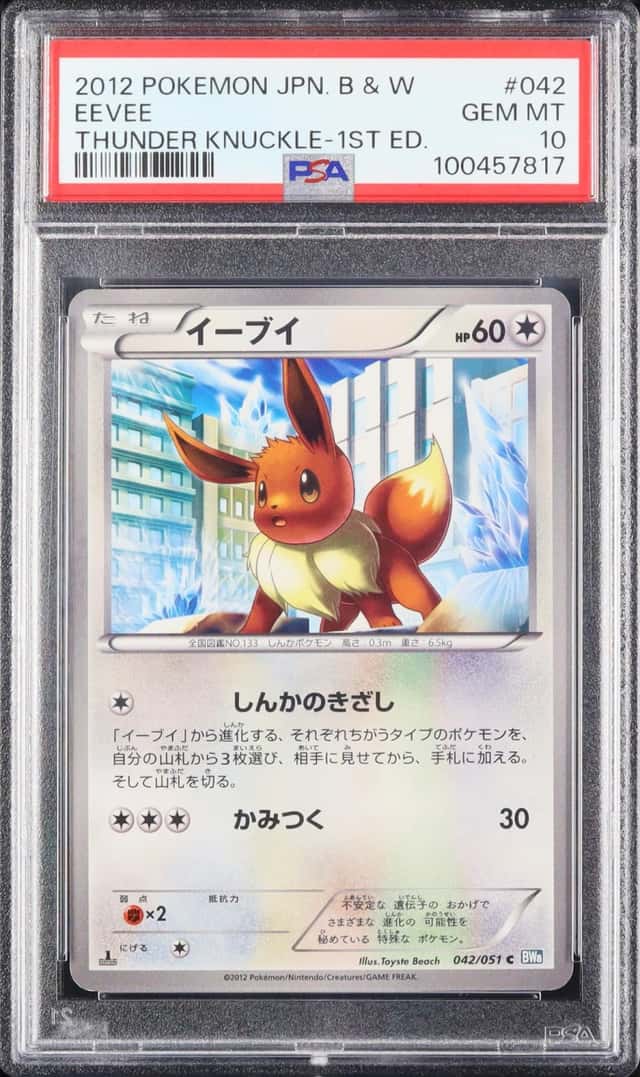 Eevee