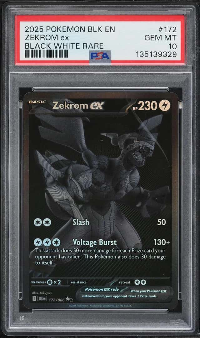 ZEKROM ex
