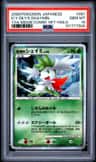 Icy Sky'S Shaymin