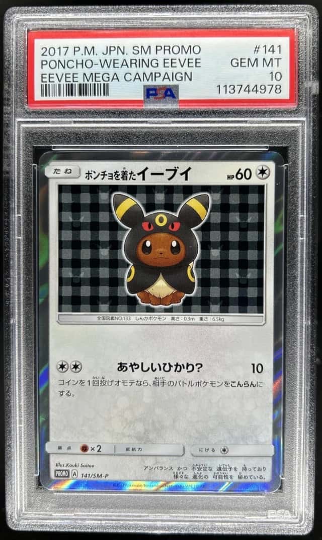 Poncho-Wearing Eevee