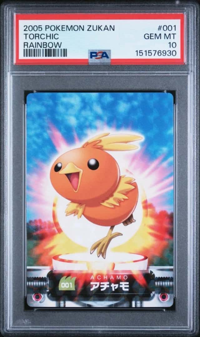 Torchic