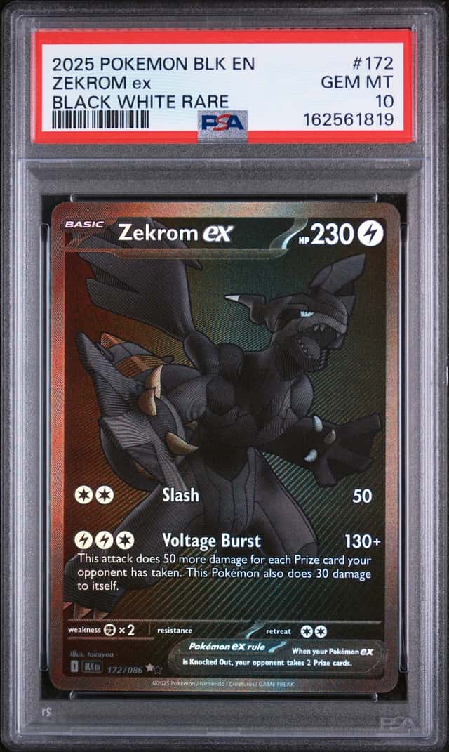 ZEKROM ex